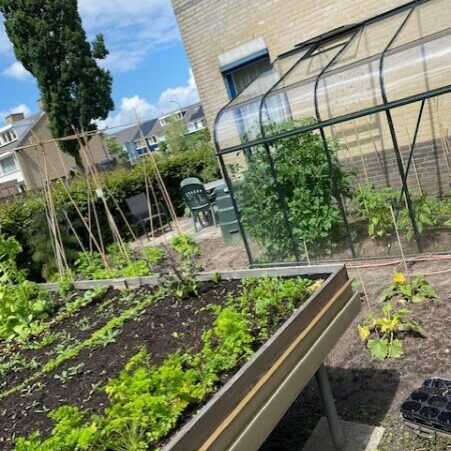 Tuinkas ZW 2 Moestuin met verhoogde bakken en een kas naast een gebouw. Groenten groeien in de tuin.