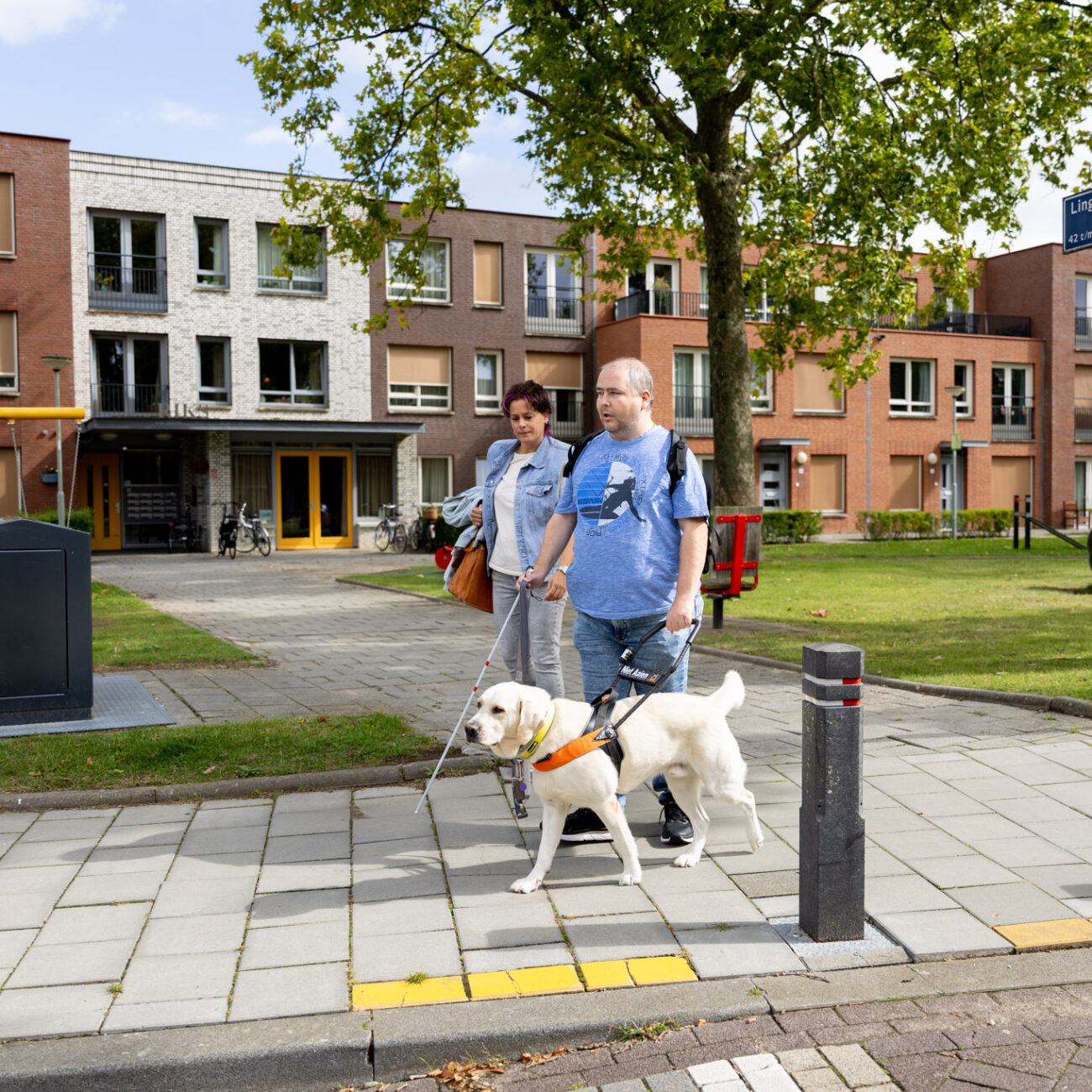 rcs mid resolutie-89 Een man loopt met een geleidehond en stok over de stoep, terwijl een begeleider naast hem meeloopt.
